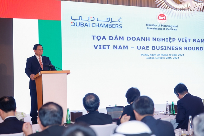 Nhóm các nhà đầu tư UAE cam kết đầu tư 1 tỉ USD vào VinFast- Ảnh 4.